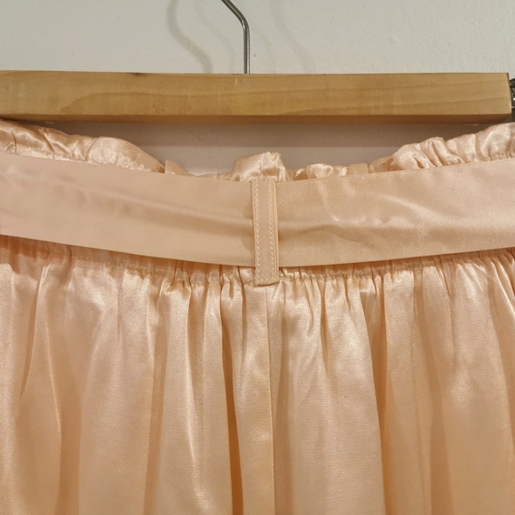 NWT Sabina Musayev small nude satin shorts, designer James pant - Picture 6 of 8